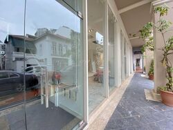 Tanjong Pagar Conservation Area (D2), Shop House #533118181